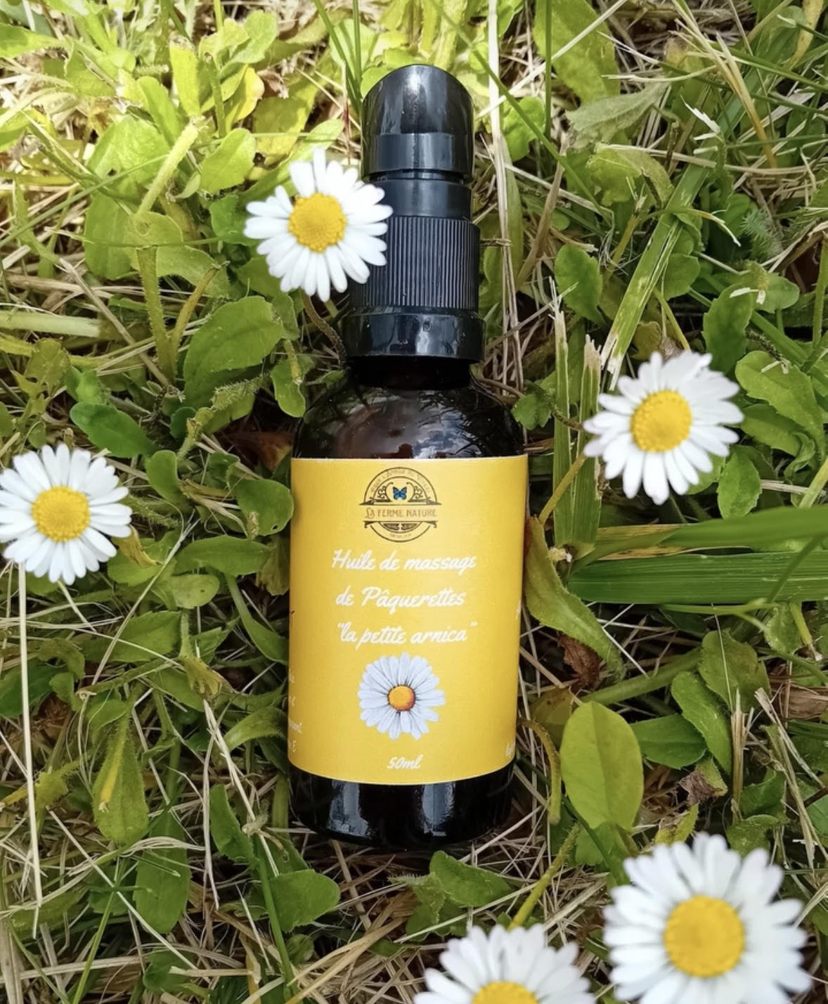 Huile de massage de pâquerettes "la petite arnica" de La ferme nature dans l'herbe fleurie